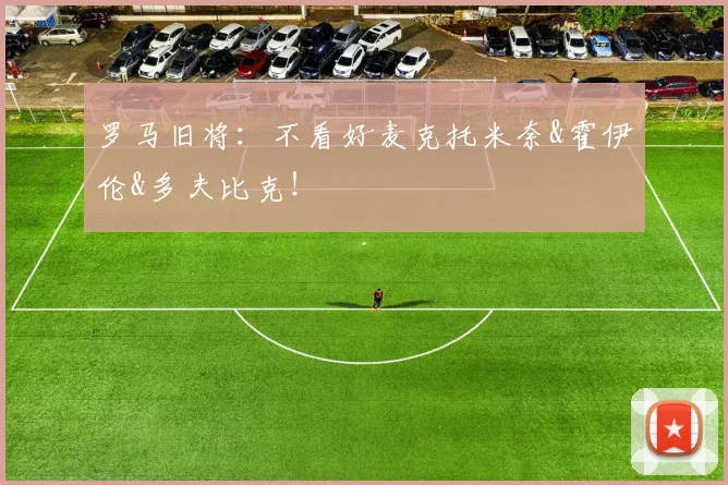 罗马旧将：不看好麦克托米奈&霍伊伦&多夫比克！